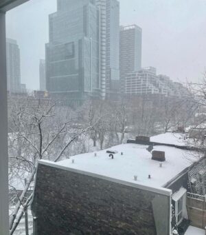 Bryce Dallas Howard Instagram - Views from beautiful, magical Toronto — it’s beginning to feel a lot like the holiday season ❤️ ⁣
⁣
[ID: Wearing a navy-blue blouse and her hair in curly waves, BDH takes a selfie by a window in her Toronto hotel room. Outside the window, the next morning, is a light dusting of snow across roof tops and trees.]