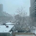 Bryce Dallas Howard Instagram – Views from beautiful, magical Toronto — it’s beginning to feel a lot like the holiday season ❤️ ⁣
⁣
[ID: Wearing a navy-blue blouse and her hair in curly waves, BDH takes a selfie by a window in her Toronto hotel room. Outside the window, the next morning, is a light dusting of snow across roof tops and trees.]