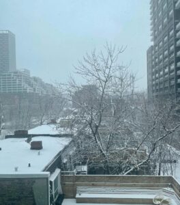 Bryce Dallas Howard Instagram - Views from beautiful, magical Toronto — it’s beginning to feel a lot like the holiday season ❤️ ⁣ ⁣ [ID: Wearing a navy-blue blouse and her hair in curly waves, BDH takes a selfie by a window in her Toronto hotel room. Outside the window, the next morning, is a light dusting of snow across roof tops and trees.]