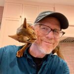 Bryce Dallas Howard Instagram – Cats asserting dominance over the Howards 🐱⁣
⁣
[ID: Ginger cats Lily & Bruno ascend to their throne on the backs of BDH and Ron Howard]