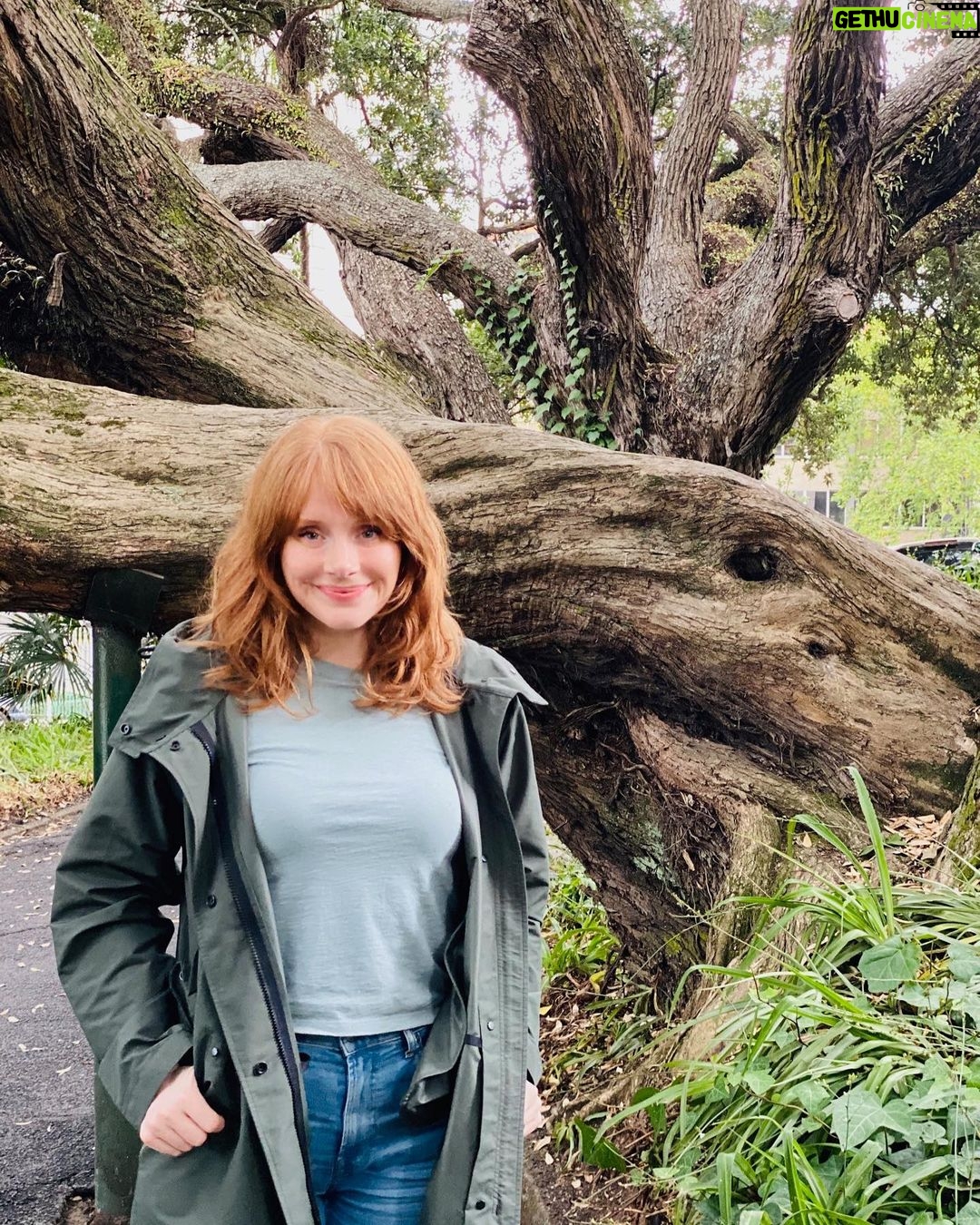 Bryce Dallas Howard Instagram - A collection of #EarthDay celebrations, sustainability resources, and environmentalists and climate organizations to support 🌏 See tags for more info ☺️