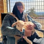 Bryce Hall Instagram - chillin w messi wbu Mariposa, California