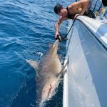 Bryce Hall Instagram - went fishing for the first time and caught a 450 lb bull shark… not bad Miami, Florida