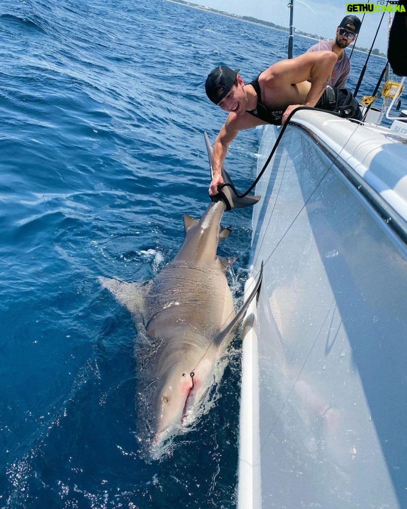Bryce Hall Instagram - went fishing for the first time and caught a 450 lb bull shark… not bad Miami, Florida