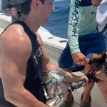 Bryce Hall Instagram - went fishing for the first time and caught a 450 lb bull shark… not bad Miami, Florida