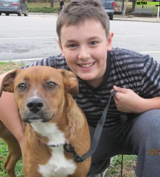 Bryce Hall Instagram 12 years later & she’s still my pup Stuart