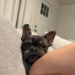 Brynn Rumfallo Instagram – fyi