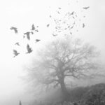 Buğra Gülsoy Instagram – ♾
