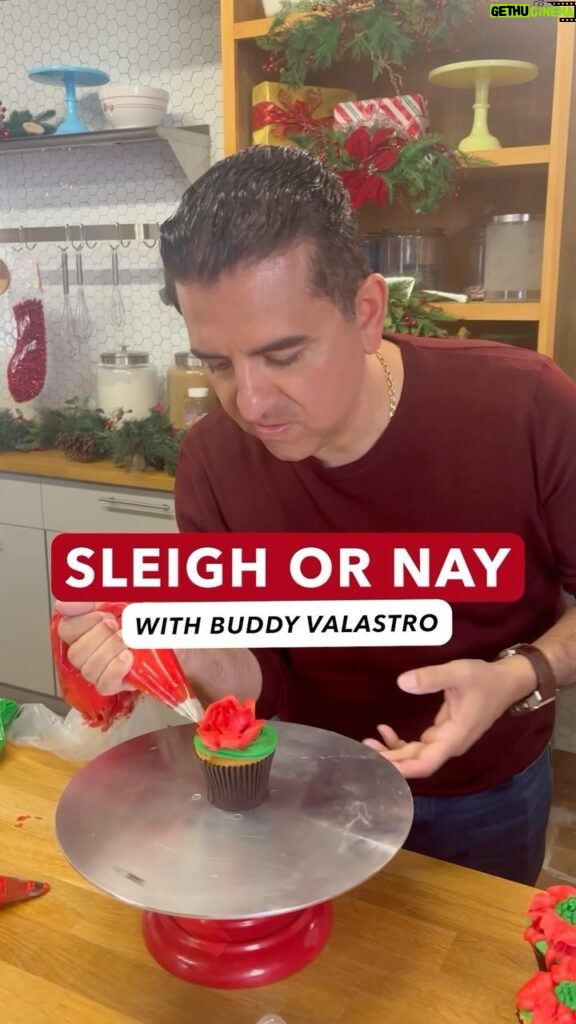 Buddy Valastro Instagram - Sleigh all day! #YesChefChristmas