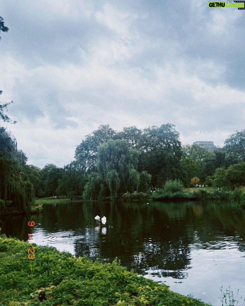 Burcu Özberk Instagram - 🖤 St James's Park