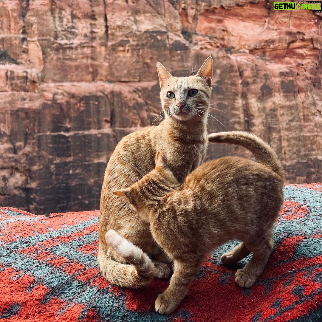 Burcu Özberk Instagram - Petra ♥️ Petra - Jordan