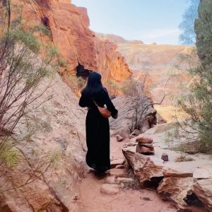 Burcu Özberk Instagram - Petra ♥️ Petra - Jordan