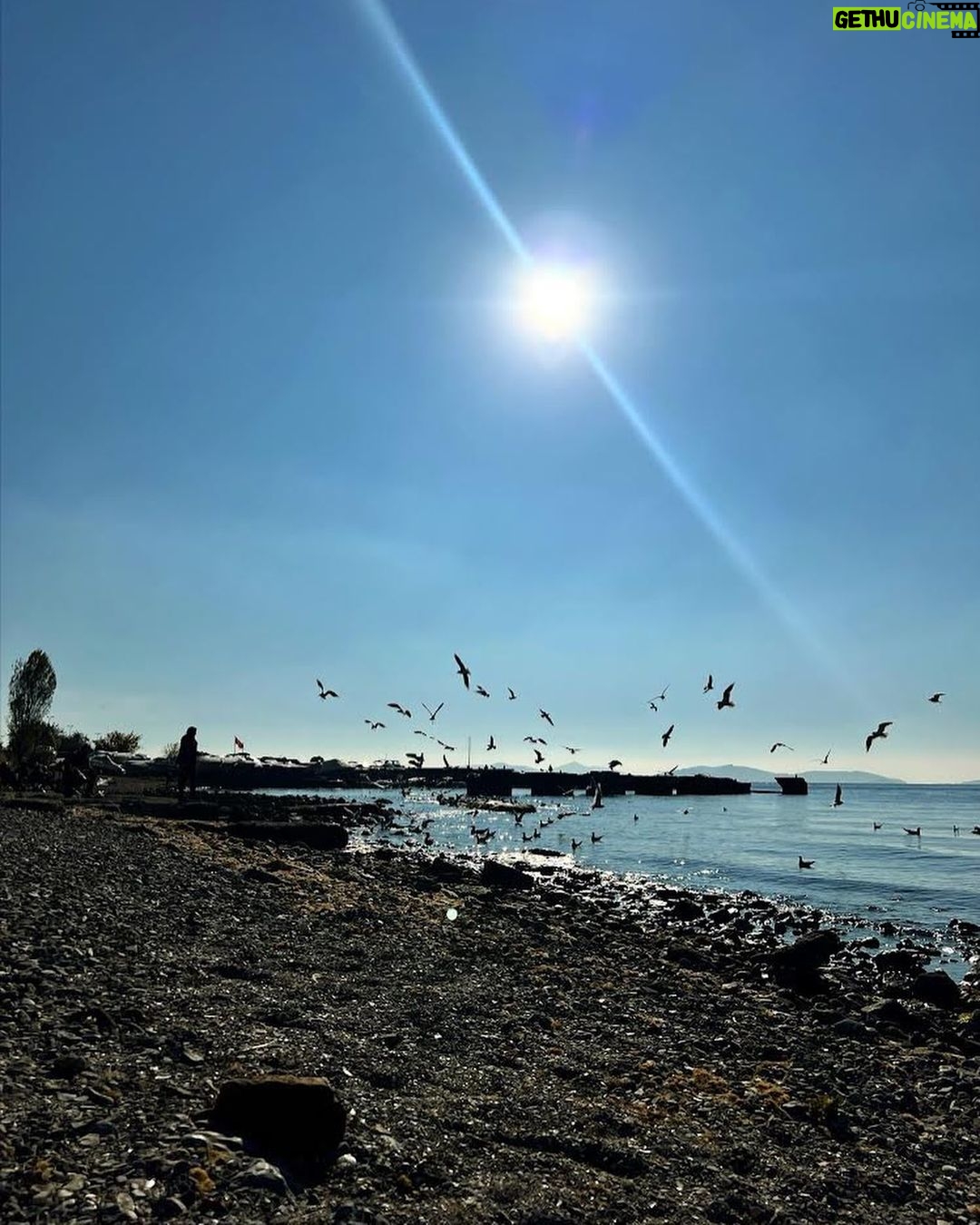 Burcu Özberk Instagram - Arkada “Hayat Sevince Güzel” çalıyor. 🤍