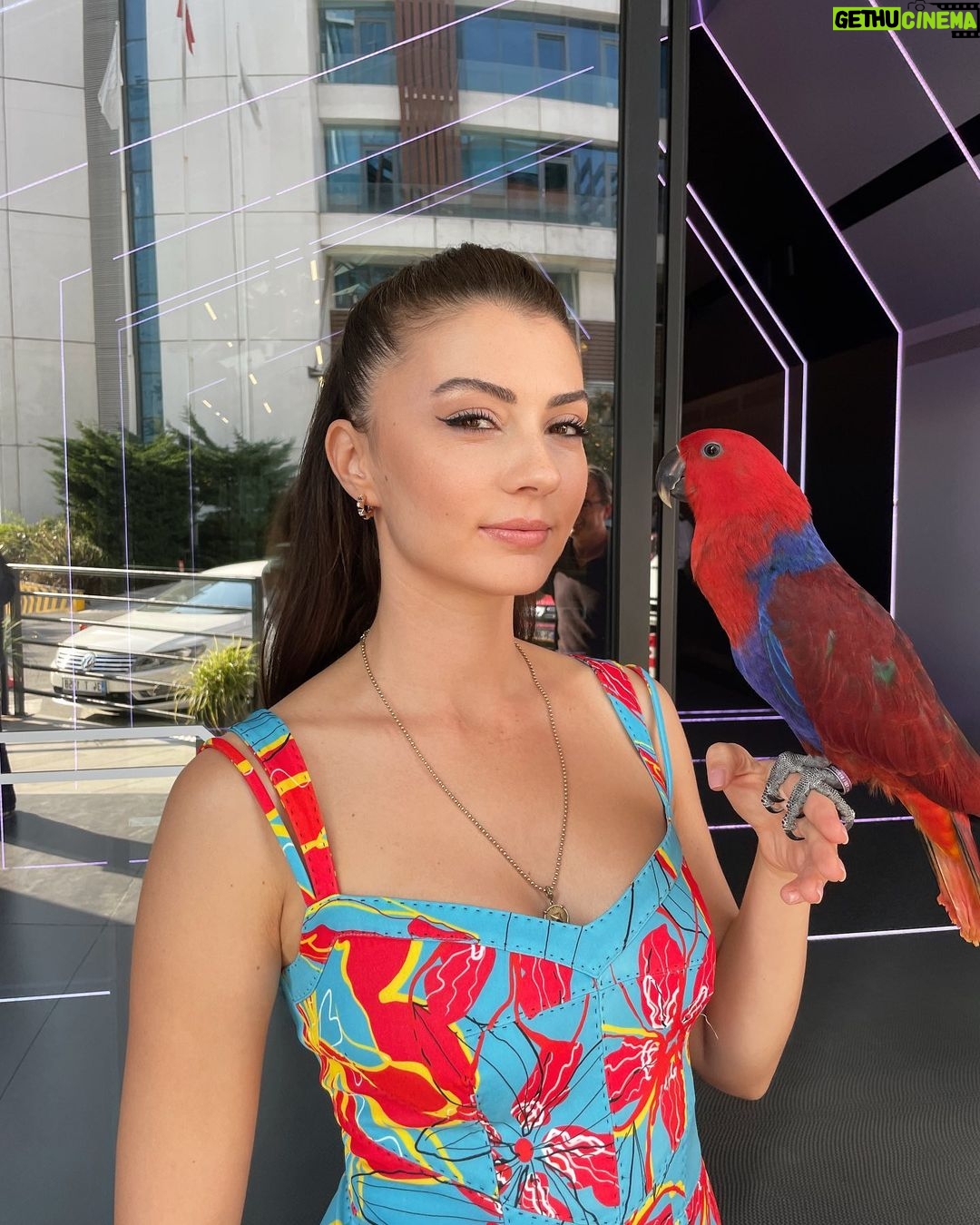 Burcu Özberk Instagram - Herkese iyi haftalar 👼🏻 Lucy🦜“Ben ne alaka?” 😅