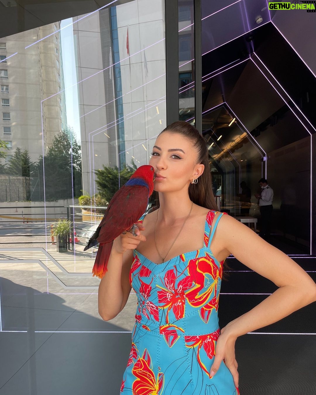 Burcu Özberk Instagram - Herkese iyi haftalar 👼🏻 Lucy🦜“Ben ne alaka?” 😅