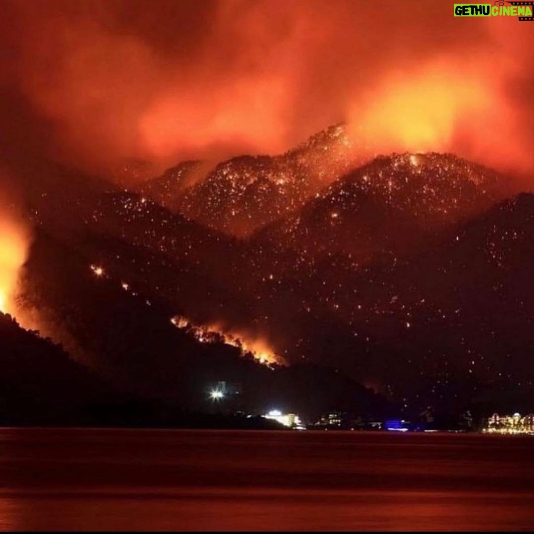 Burcu Kiratli Instagram - 🚨 I am calling all the countries who can help us. We are perished and devastated with the total 112 fires. The ones that we can’t stop are still going so strong. We dont have enough fire fighting planes to stop it. We lost 8 people, so many animals and our forests. Please help us!!!!! We need planes urgently. We only have 1 world. #helpTurkey @unitednations @eucouncil 🚨J'appelle tous les pays qui peuvent nous aider. Nous avons péri et dévasté avec les 112 incendies au total. Ceux que nous ne pouvons pas arrêter. Nous avons perdu 8 personnes, tant d'animaux et nos forêts. Aidez-nous s'il vous plaît. Nous avons besoin d'avions de toute urgence. Nous n'avons qu'un monde. 🚨 🚨Quiero hacer un llamamiento a todos los países que pueden ayudarnos. Quedamos devastados y devastados por 112 incendios. Los incendios que aún continúan son muy fuertes. No tenemos suficientes aviones para cubrirlos. Perdimos 8 personas, innumerables animales y nuestros bosques. Por favor ayudenos. Solo tenemos 1 mundo. #helpTurkey 🚨Bize yardım edebilecek tüm ülkelere seslenmek istiyorum. 112 adet yangın sebebiyle perişan ve harap olduk. Halen devam etmekte olan yangınlar çok güçlü. Bunları söndürmeye yetecek adette uçağımız yok. 8 insanı, sayısız hayvanı ve ormanlarımızı kaybettik. Lütfen bize yardım edin. Sadece 1 dünyamız var. #helpTurkey 🚨🚨🚨 Lütfen bu mesajı yayın. 🙏🏻 Bizim çok acil olarak dünya çapında sesimizi duyurmaya ve yardıma ihtiyacımız var. #havadanmüdahaleistiyoruz