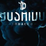 Bushido Instagram -