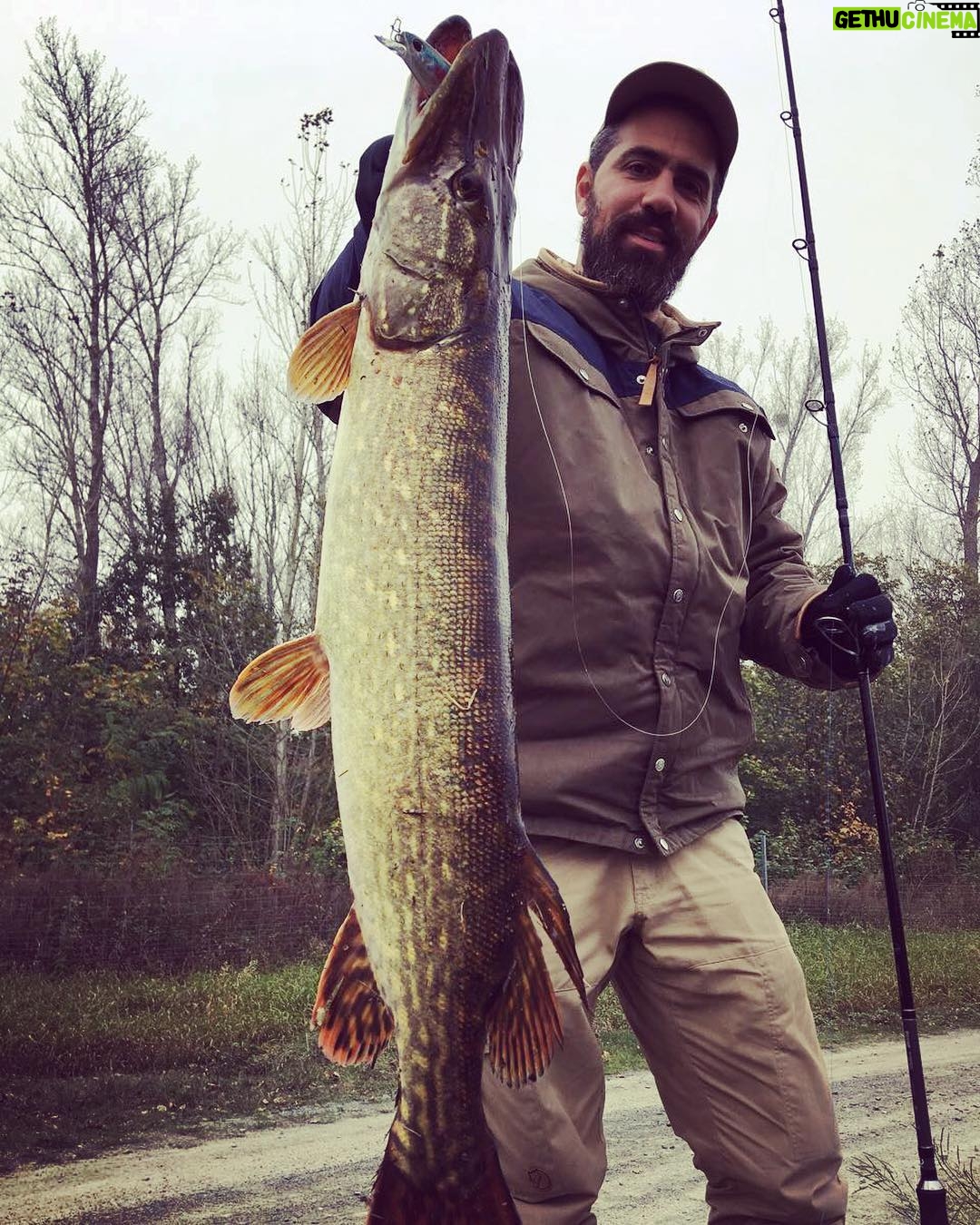 Bushido - 72.2K Likes - Monster Pike 🙋🏻♂️#moritzangelsport