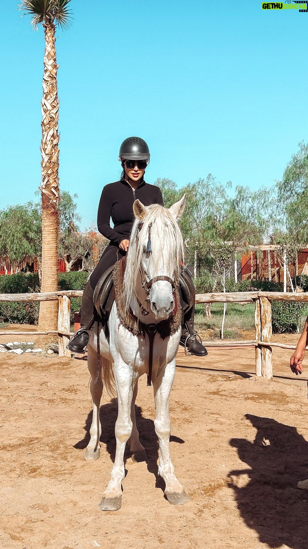 Buthaina Al Raisi Instagram - جاري توطيد العلاقة مع الخيل في مراكش 🇲🇦🇲🇦🇲🇦 ومساكم كل شي حلو مثلكم من قلب الحبيبة المغرب 🇲🇦 . تتوقعون شنو مشروعنا الجديد ؟؟ . ولا تنسون تكتبون اماكن لازم ازورها في مراكش