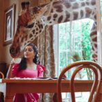 Buthaina Al Raisi Instagram - تحملوني بالبوستات الجايه ،، من كثر ما عشقت المكان والتجربه والزرافات بوستاتي الجايه كلها معاهم 🦋🦋🦋 . متابعيني بسناب اتمنى تكونون عشتوا معاي تفاصيل ما مرت عليكم قبل والي مو متابع تعالوا سنابي واستمتعوا Giraffe Manor