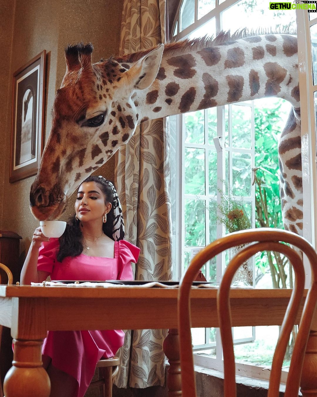 Buthaina Al Raisi - 45.9K Likes - تحملوني بالبوستات الجايه ،، من كثر ما عشقت المكان والتجربه والزرافات بوستاتي الجايه كلها معاهم 🦋🦋🦋
.
متابعيني بسناب اتمنى تكونون عشتوا معاي تفاصيل ما مرت عليكم قبل والي مو متابع تعالوا سنابي واستمتعوا