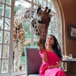 Buthaina Al Raisi Instagram - A day i will never forget 🦋🦋🦋 . اليوم وصلنا ( giraffe manor ) . هالمكان الحالم كان في لستته امنياتي اني ازوره الحجز فيه صعب الويتنج لست فيه يوصل سنه ونص .. استانست لما قالولي انتي اول وحده تزورينا من سلطنة عمان .. الي يحب التجارب الجديده بعيد عن صخب المدن هالمكان الهدوء والجمال فيه مو طبيعي موجود في عاصمه كينيا نيروبي .. المهم قولولي لو كنتوا مكاني بتخافون ؟؟ انا عن نفسي اعشق الحيوانات 🦋🦋🦋 . #كينيا #giraffe #giraffemanor #discover #world #explore #reels #instagram Giraffe Manor
