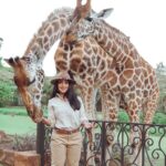 Buthaina Al Raisi Instagram - قلتلكم من كثر حبي لهم بجننكم بالصور .. بس هني نختم سلسله صور الزرافات 😂😂🦋🦋 صج لي قالوا الحب مشكله Giraffe Manor