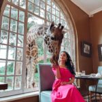 Buthaina Al Raisi Instagram - تحملوني بالبوستات الجايه ،، من كثر ما عشقت المكان والتجربه والزرافات بوستاتي الجايه كلها معاهم 🦋🦋🦋 . متابعيني بسناب اتمنى تكونون عشتوا معاي تفاصيل ما مرت عليكم قبل والي مو متابع تعالوا سنابي واستمتعوا Giraffe Manor
