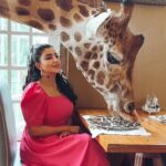 Buthaina Al Raisi Instagram - تحملوني بالبوستات الجايه ،، من كثر ما عشقت المكان والتجربه والزرافات بوستاتي الجايه كلها معاهم 🦋🦋🦋 . متابعيني بسناب اتمنى تكونون عشتوا معاي تفاصيل ما مرت عليكم قبل والي مو متابع تعالوا سنابي واستمتعوا Giraffe Manor