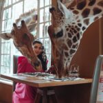 Buthaina Al Raisi Instagram - تحملوني بالبوستات الجايه ،، من كثر ما عشقت المكان والتجربه والزرافات بوستاتي الجايه كلها معاهم 🦋🦋🦋 . متابعيني بسناب اتمنى تكونون عشتوا معاي تفاصيل ما مرت عليكم قبل والي مو متابع تعالوا سنابي واستمتعوا Giraffe Manor