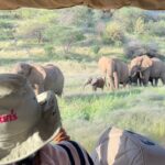 Buthaina Al Raisi Instagram - There is no place like Africa 🦋 . رسمياً وقعت غي غرام كينيا .. ما في كلمات ممكن توصف جمالها 🦋🦋🦋 Samburu National Reserve