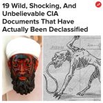Buzzfeed Instagram - The US Government has had A LOT of weird (and cruel) ideas over the years. More at the link in bio ☝️