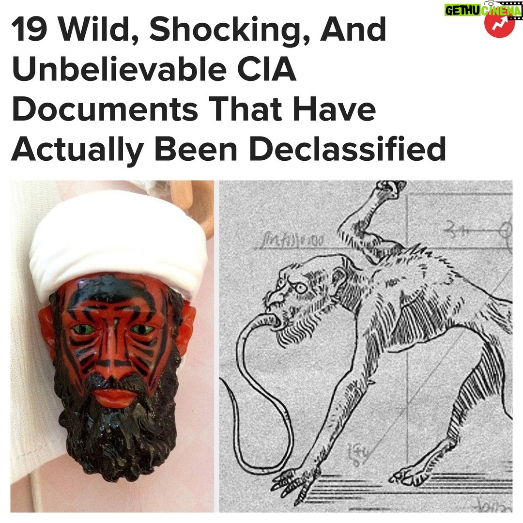 Buzzfeed Instagram - The US Government has had A LOT of weird (and cruel) ideas over the years. More at the link in bio ☝️