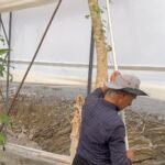 Çağla Şıkel Instagram - 🥑🥭🤍 Alanya