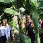 Çağla Şıkel Instagram - 🥑🥭🤍 Alanya