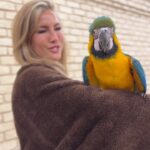 Çağla Şıkel Instagram - İnziva günleri…🫶❤️🦜