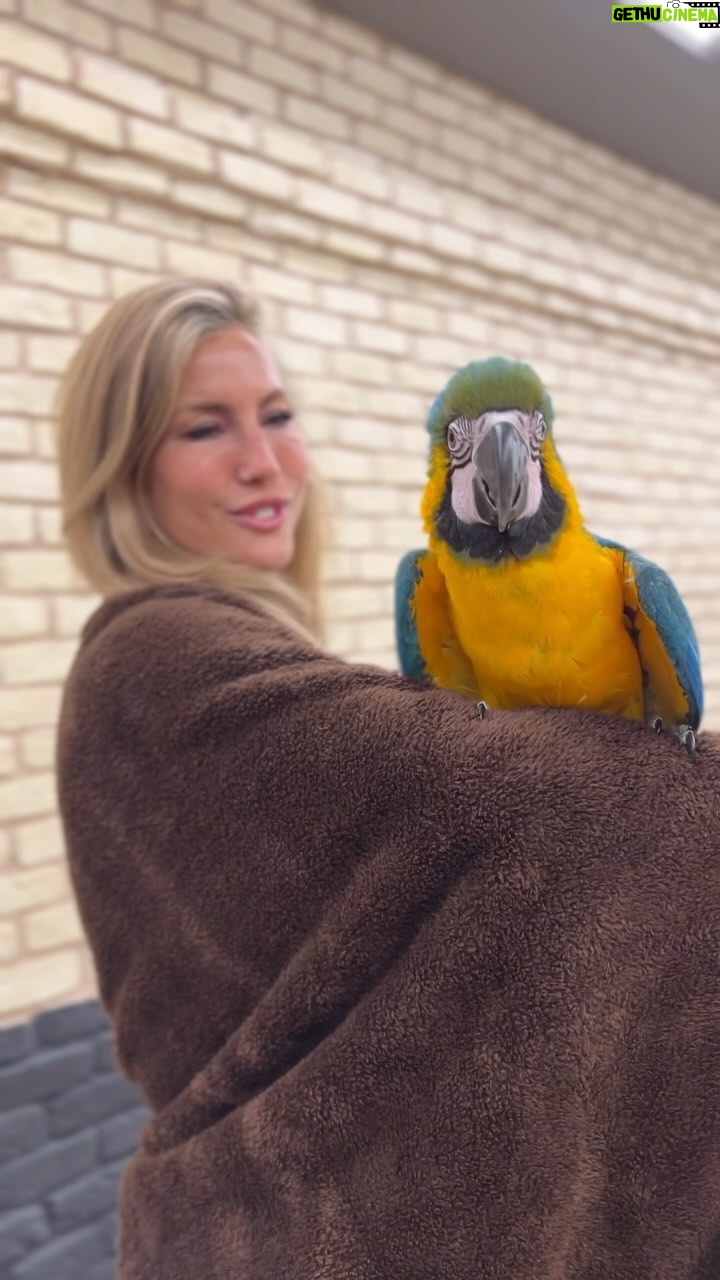 Çağla Şıkel Instagram - İnziva günleri…🫶❤️🦜