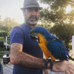 Éric Cantona Instagram - Please repeat after me: « United will be champion this year! » @manchesterunited