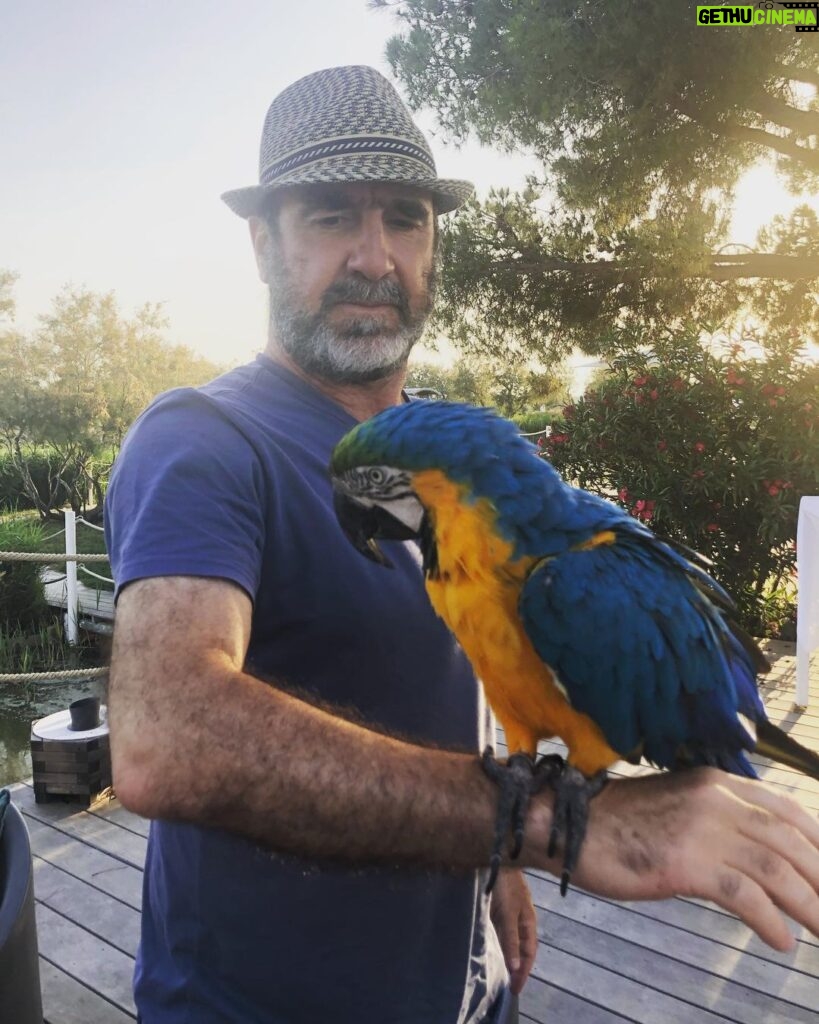 Éric Cantona Instagram - Please repeat after me: « United will be champion this year! » @manchesterunited