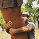 Éric Cantona Instagram - The unbelievable energy of the trees #intothewild #alentejo