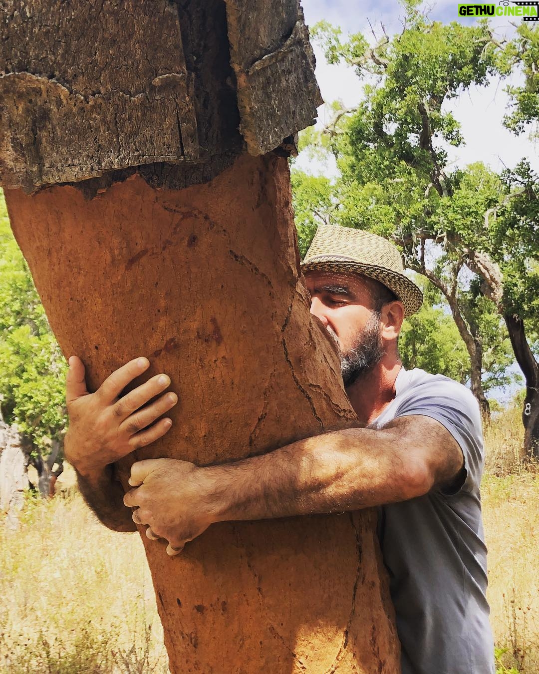 Éric Cantona Instagram - The unbelievable energy of the trees #intothewild #alentejo