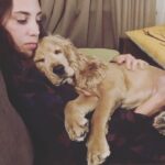 Öykü Karayel Instagram - When Toma sleeps🌞🦁💛