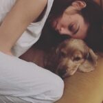 Öykü Karayel Instagram - When Toma sleeps🌞🦁💛