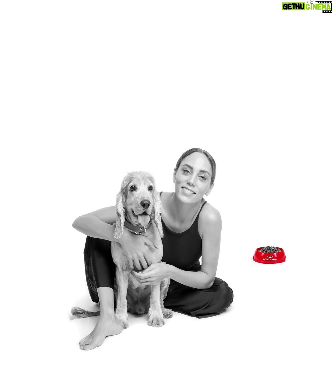 Öykü Karayel - 205.5K Likes - İşte benim huyu da suyu da bana çekmiş, huysuz ama tatlı yarim. N’aber Toma:) Baya bir uslu çıkmışsın burada, çaktırma. Öyleydi böyleydi derken birlikte yedi koca seneyi devirdik. Güvendin bana, sorumluluk nedir öğrettin, teşekkürler. Daha İLK GÜNDEN beri ne çok seviyorum seni.. vallahi bravo.. Kendine çok iyi bakıyorsun✋🏼 Ben de iyi bakıcam hep sana.. ki nice senelerimiz olsun😍 @royalcanintr #ilkgünden #başlangıçmaması #Sizdeonlaraçokiyibakınsevinkoruyun
