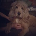 Öykü Karayel Instagram - Uğraşıyorum oluum gece gece seninle :)
