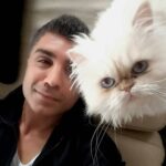 Özcan Deniz Instagram - Guzel baksin,guzel gulsun,guzel koksun,katiksiz sevsin,asil olsun.. iste bi kedi de aradigim ozellikler!:)