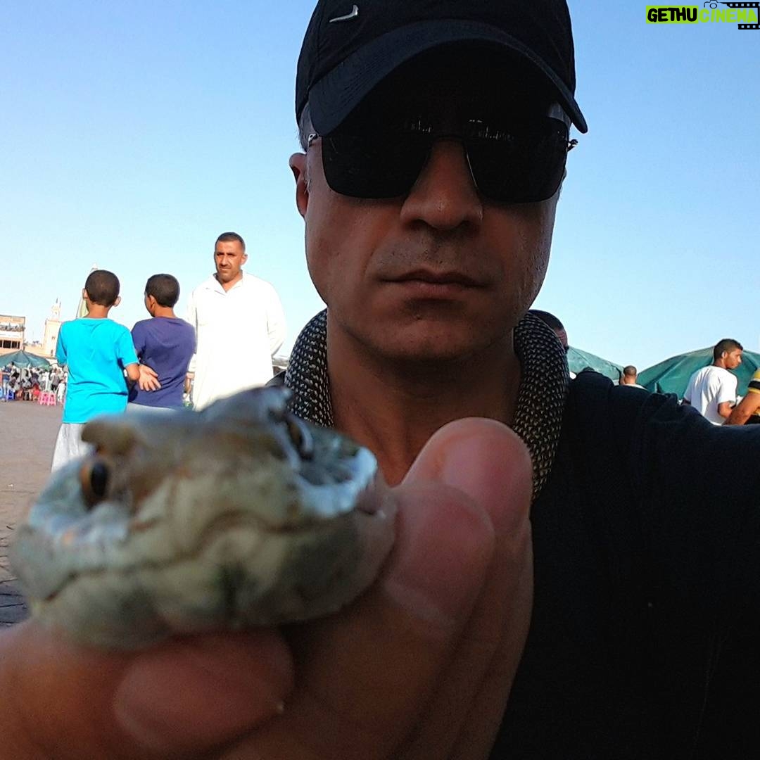 Özcan Deniz Instagram - Yılandan korkmam yıldırandan korktuğum kadar..