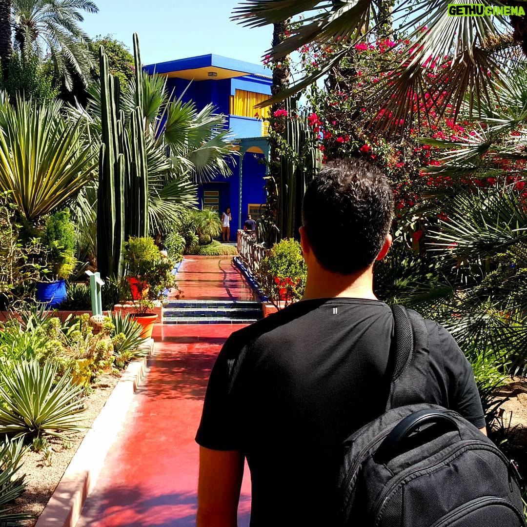 Özcan Deniz Instagram - Marakkech de Yves saint laurent in bahcesinde buyulendik mavisine..#jardinmajorelle #morocco #fas #marakkech #fashion #yvessaintlaurent