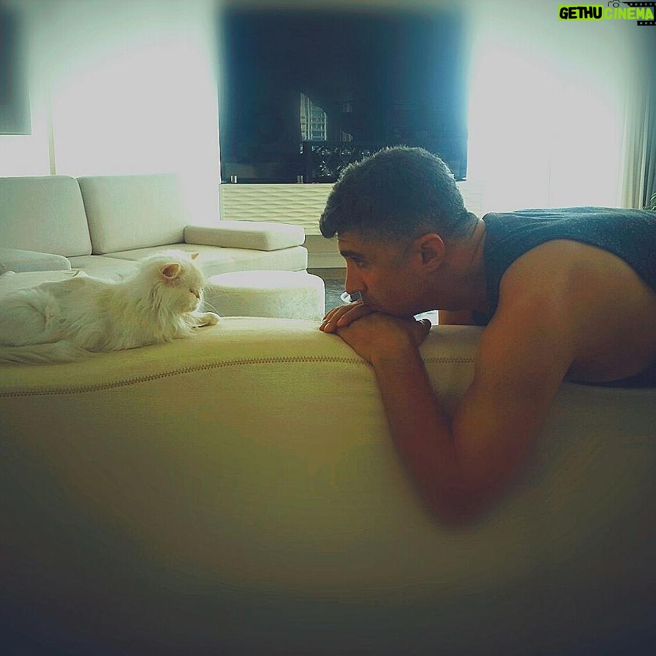 Özcan Deniz Instagram - Evrensel dil.!#cika #cat #kedi