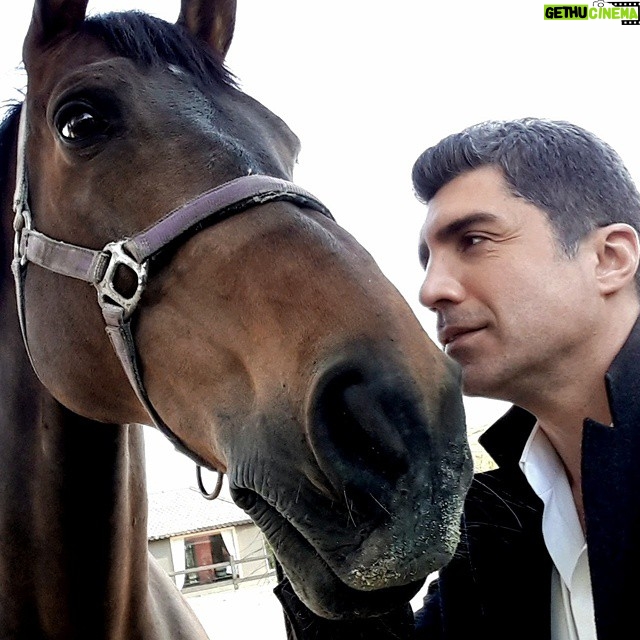 Özcan Deniz Instagram - Bu dunya saadece insanlardan iberet olsaydi ne kotu olurdu be!..iyiki varsiniz.yaradana kurban.